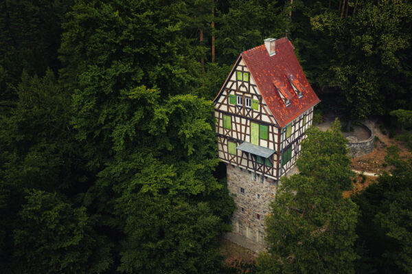 deep, deep in the forest... -