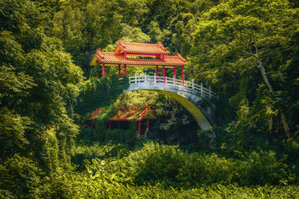 ..hidden deep within an overgrown, abandoned garden in Taiwan, this elegant pavilion bridge emerges from the lush greenery like a scene from a lost world. To capture this photo, I had to push through dense foliage and massive webs guarded by hand-sized orb-weaver spiders. -