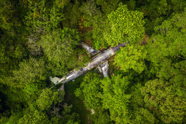 This aircraft rests deep within the lush forests of Malaysia, a testament to nature's enduring power of reclamation. This is not the ill-fated MH370, but another forgotten giant, slowly becoming one with the verdant landscape. -