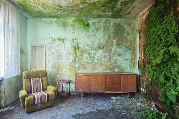 ...wonderful nature athmosphere -