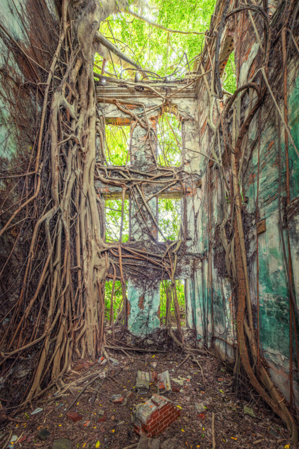 ..the nature has an extraordinary way of reclaiming spaces once dominated by human hands. -