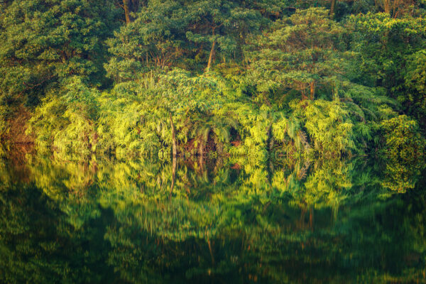 discover the kaleidoscope of colors that dance across the surface of this serene lake in Taiwan, where the sky and the earth meet in a symphony of beauty. -