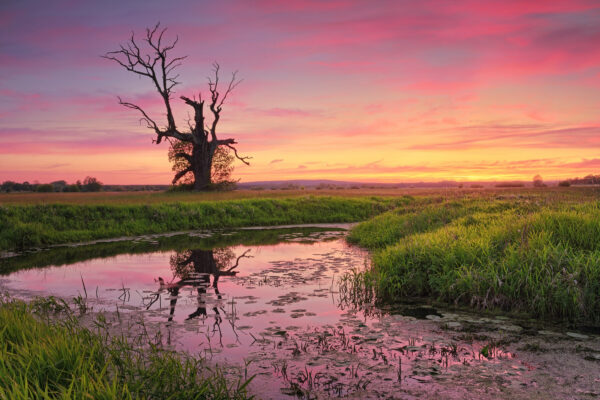 ..If she could speak... -