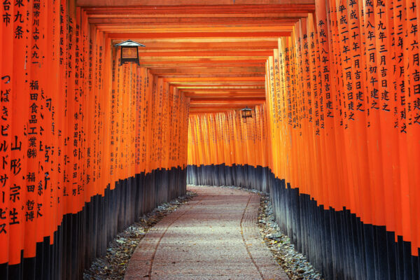 the rows of torii gates this is called Senbon torii. -