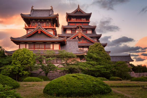 ...in beautiful warm light -