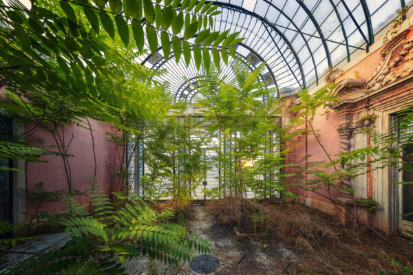 a courtyard of light in an abandoned palace ... -