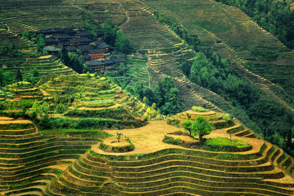 the village dazhai -