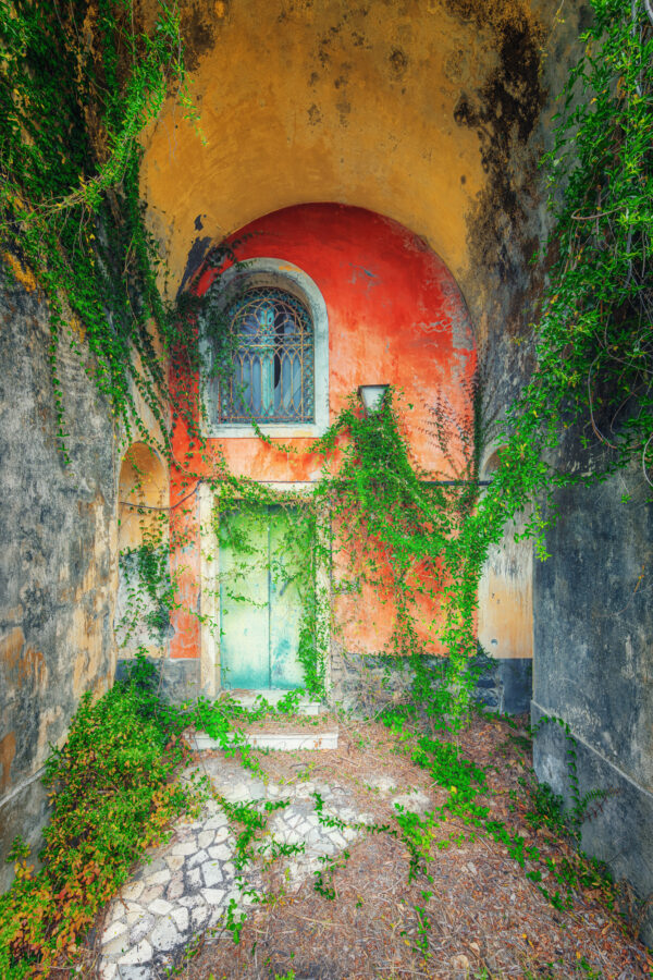 ..plants looking for an entrance to an old farmhouse in southern europe -