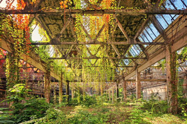 a abandonded factory -