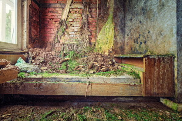 ...bed in an abandoned hotel -