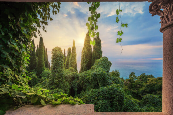 view from an abondoned abkhazian palace -