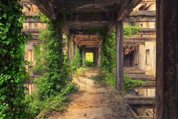 ..an abandoned huge house -