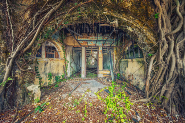 .. a forgotten house in Malaysia is slowly consumed by roots -