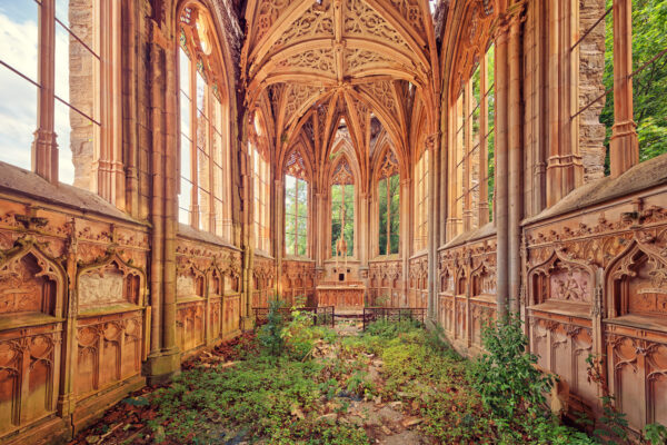 ..nature comes back -