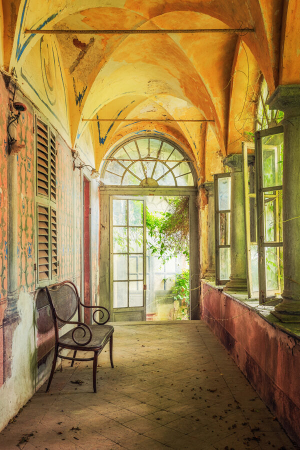 open the window and nature will come to you -