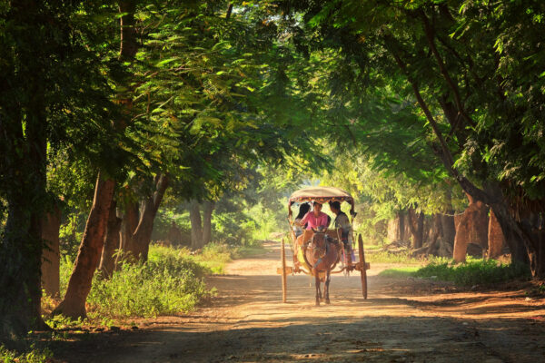 A horse-drawn carriage in Inwa / Myanmar. -