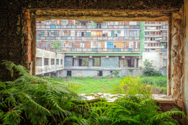 .. vibrant ferns frame a complex mosaic of makeshift homes for those displaced from Abkhazia.