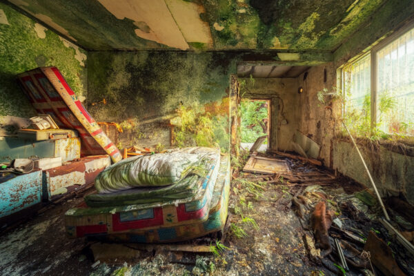 ..a forgotten hotel room in Zhejiang is transformed into a mossy fairytale suite.